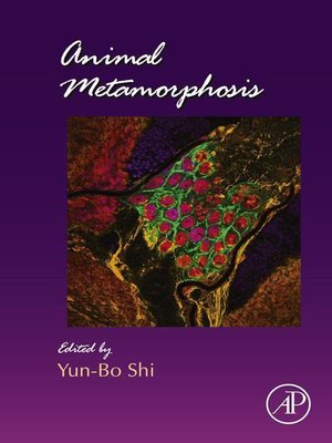 cover image of Animal Metamorphosis